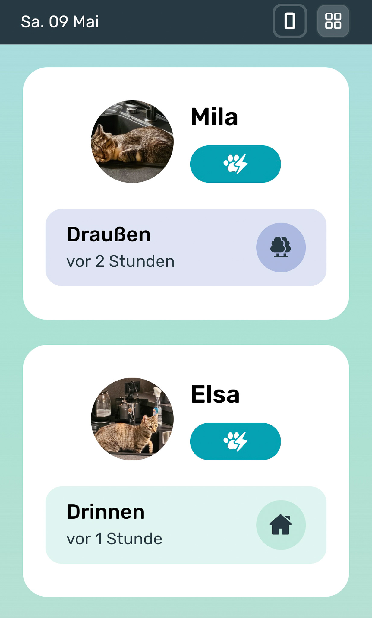 Katzenapp-2