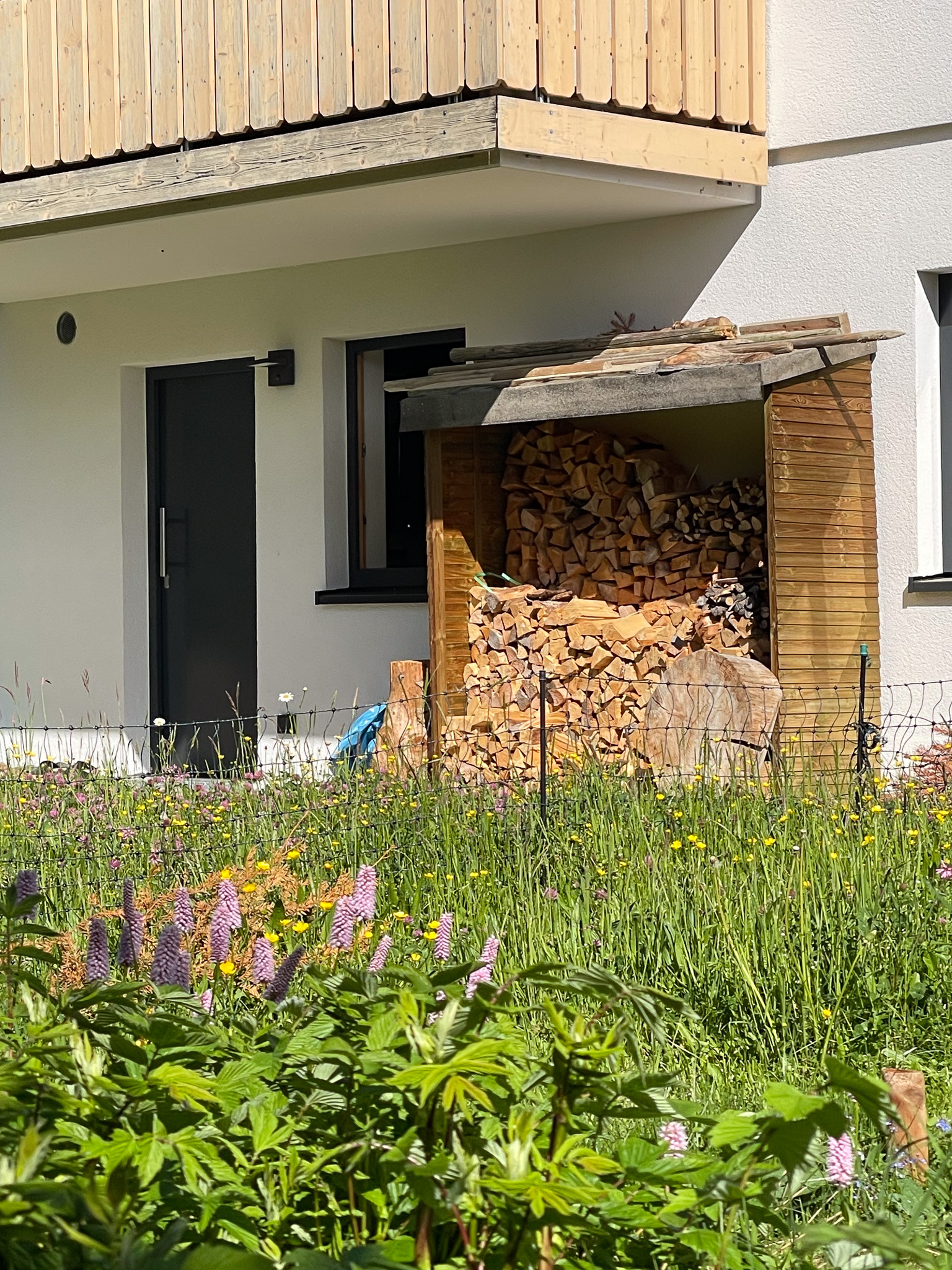 MOHR_EFH_Stiefenhofen_Tuer_7421