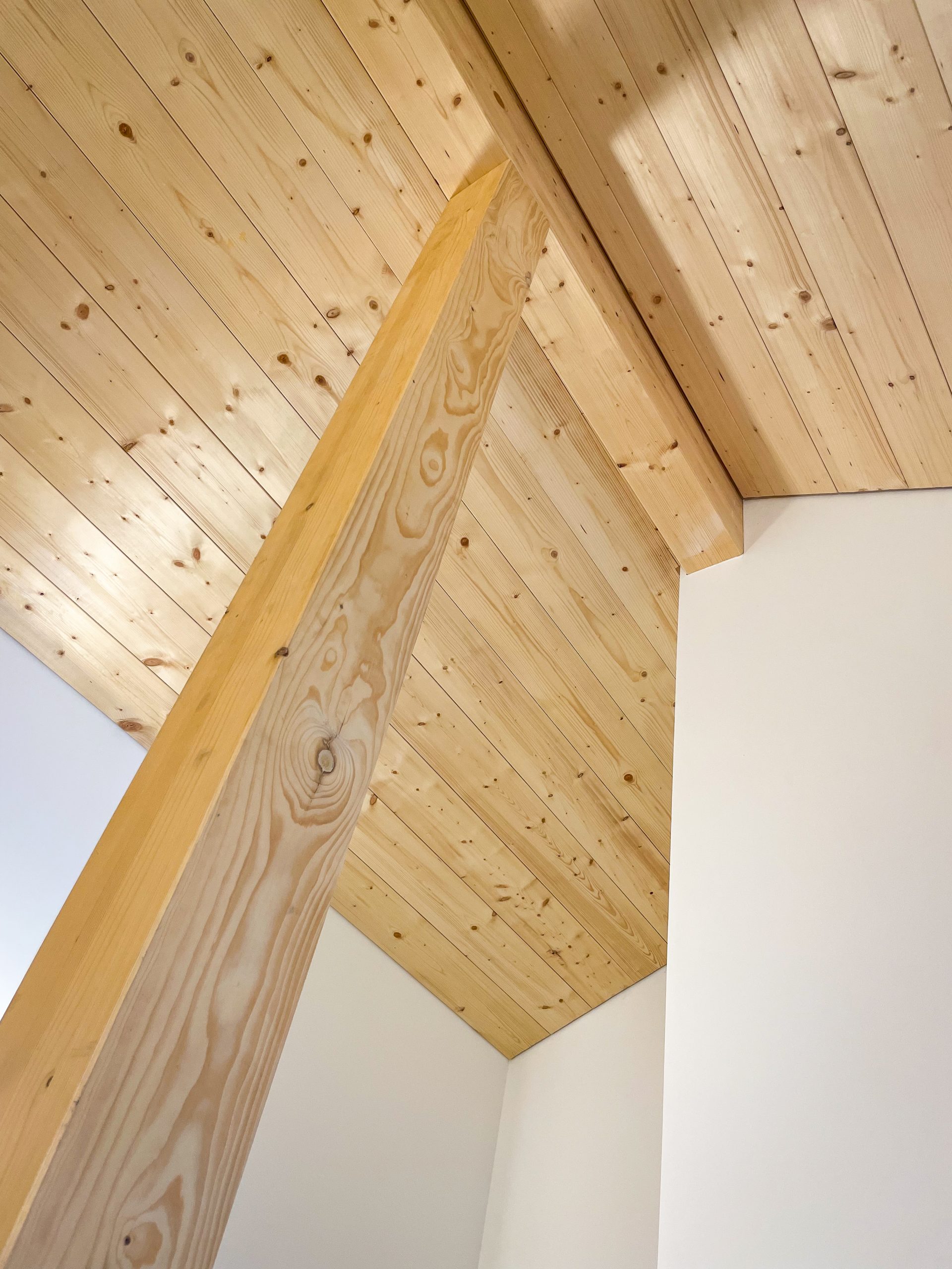 MOHR_EFH_Steibis_7812